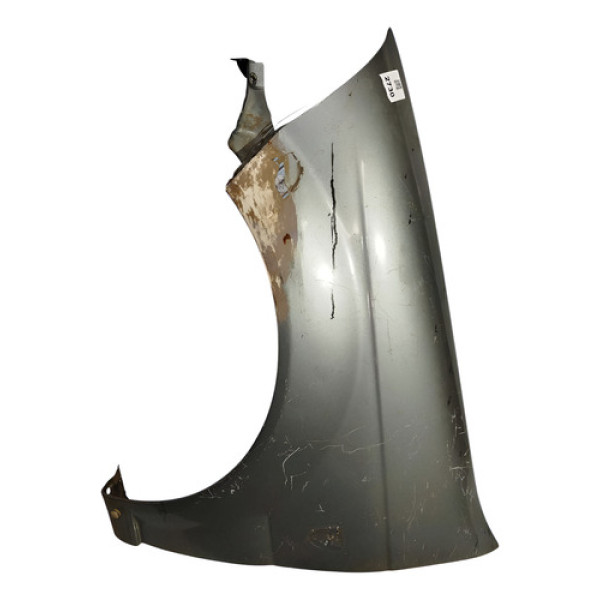 Para-lama Esquerdo Cinza Fiat Palio Siena 2007 2012