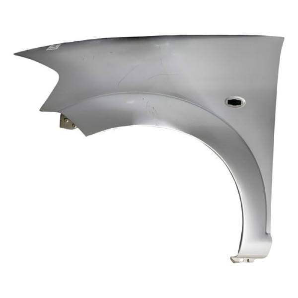 Para-lama Esquerdo Prata Citroën C3 2006 2011