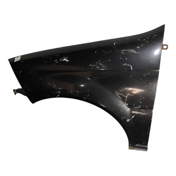 Para-lama Esquerdo Preto Fiat Palio Siena 2007 2012